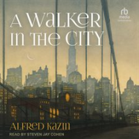 A_walker_in_the_city